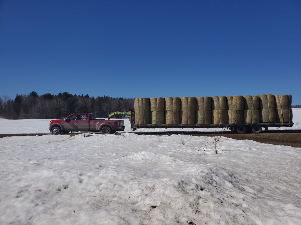 A Transport JKM pickup truck and trailer loaded with hay bales in winter.